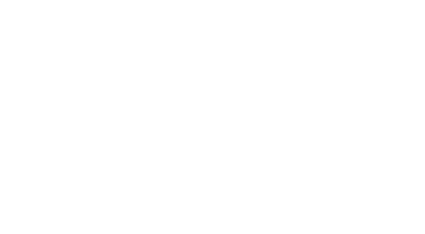 Hannestad Signature